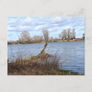 Ein sonniger Tag am Fluss Postkarte