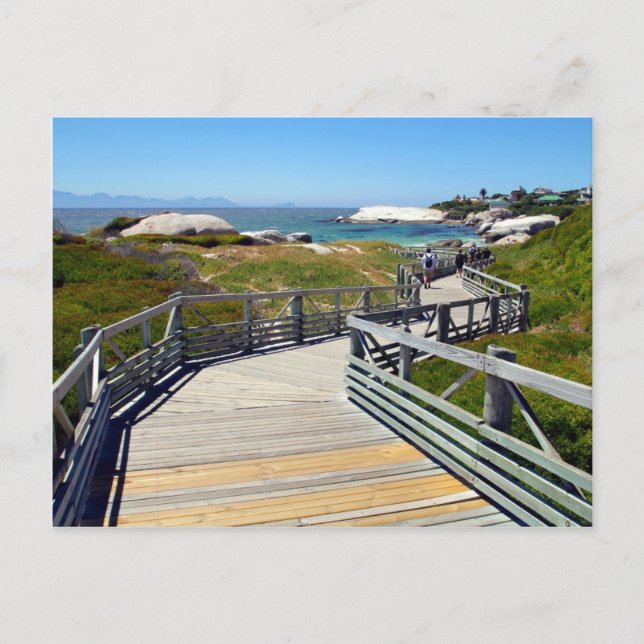 Ein Spaziergang hinunter zum Boulders Beach, Südaf Postkarte (Vorderseite)