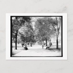 Ein Spaziergang im Lincoln Park, Chicago, Illinois Postkarte