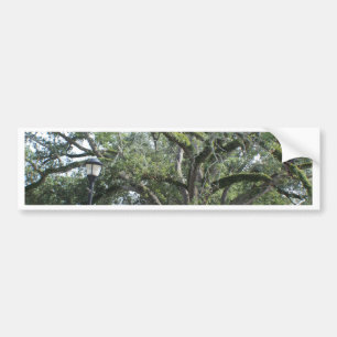 Ein Spaziergang im Park Autoaufkleber