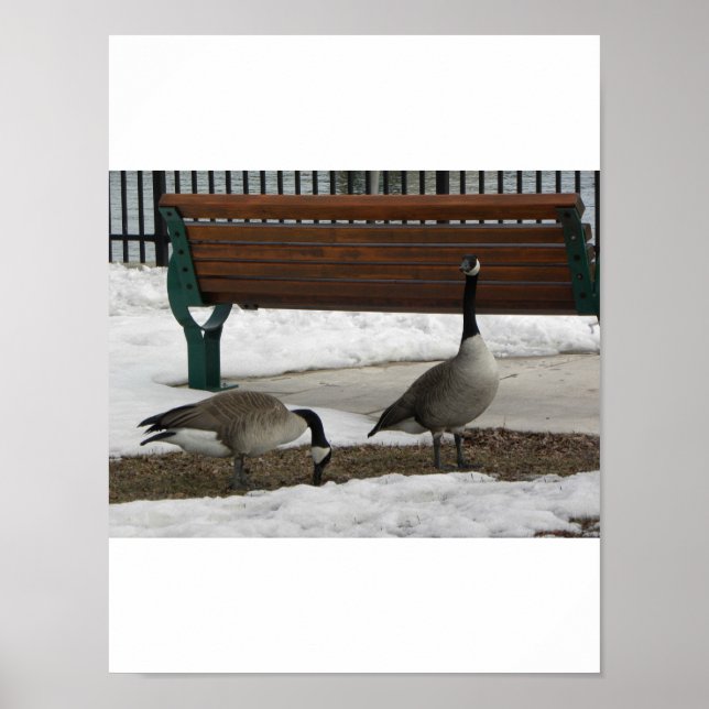 Ein Spaziergang im Park Poster (Vorne)