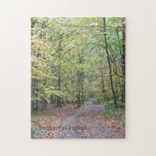 Ein Spaziergang im Wald, Brandon Park, England