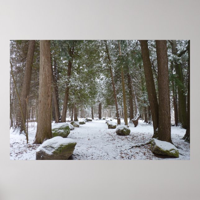 Ein Spaziergang im Wald Poster (Vorne)