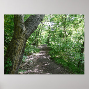 Ein Spaziergang im Wald Poster
