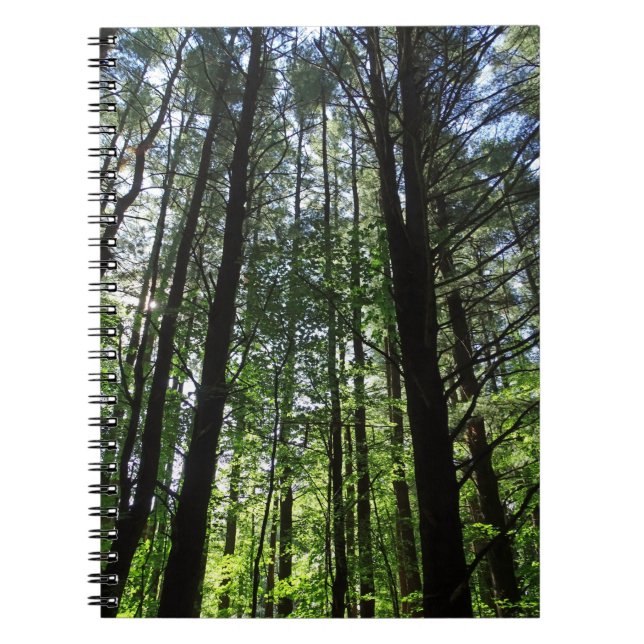 Ein Spaziergang im Woods Journal Notizblock (Vorderseite)