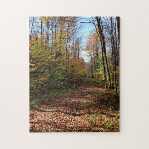 Ein Spaziergang zwischen den farbenfrohen Herbstla