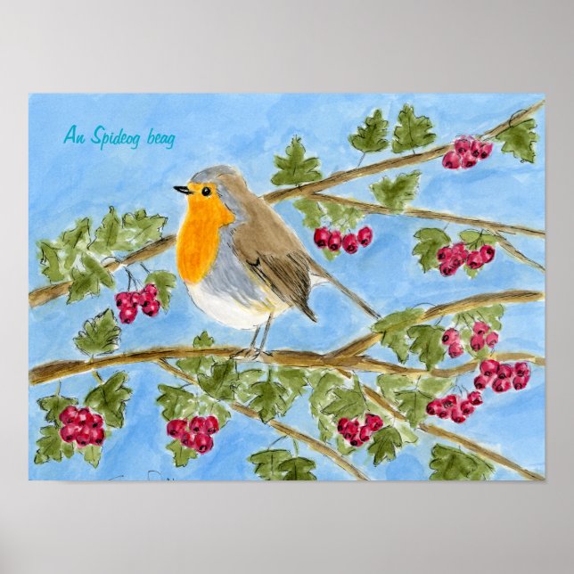 Ein Spideog Beag Poster (Vorne)