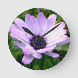 Ein Spiderzentrum Runde Wanduhr