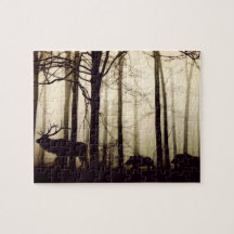 Ein Spiel, das dem Führer folgen soll