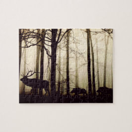 Ein Spiel, das dem Führer folgen soll