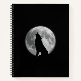Ein Spiral-Notebook für Dreamer. Notizbuch