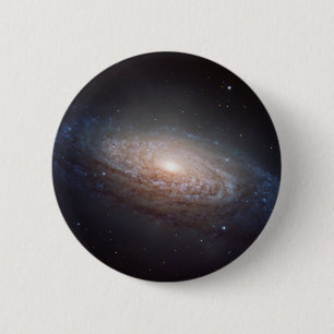Ein Spiralarm in Löwen Button