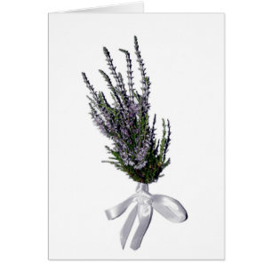 Ein Sprig Heather aus Schottland