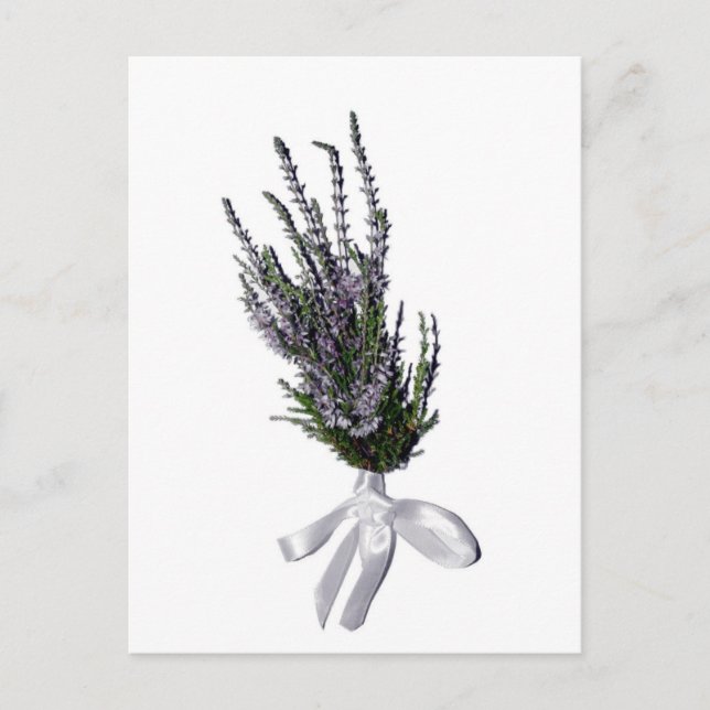 Ein Sprig Heather aus Schottland Postkarte (Vorderseite)