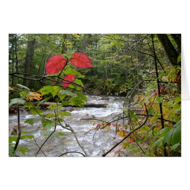 "Ein Spritzen des Rotes " (Vorderseite (Horizontal))