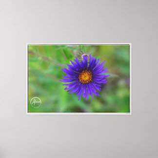 Ein Spritzer Lila in der Leinwand der Natur Druck
