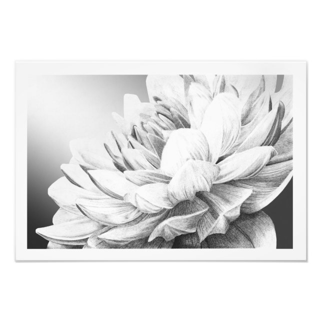 Ein Sprung vom Frühling (mit Grenze) Fotodruck (Vorne)