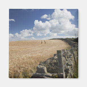 Ein Stacheldrahtzaun, der entlang eines Steinzauns Magnet