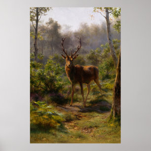 Ein Stag im Wald Poster