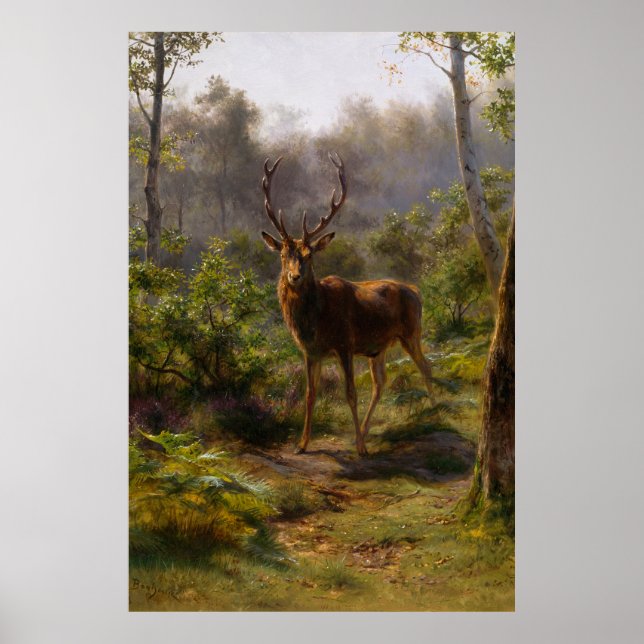 Ein Stag im Wald Poster (Vorne)