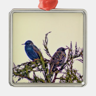 Ein starlings-Vogel-Paar Silbernes Ornament