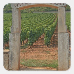 Ein steinernes Portal zum Weinberg Quadratischer Aufkleber