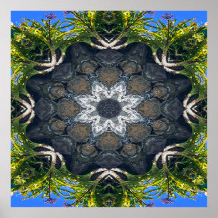 Ein Stern im Teich...... Poster