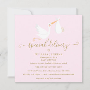 Ein Storch-Baby-Shower / Sprinkle mit besonderer L Einladung
