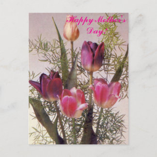 Ein Strauß rosa Tulpen in verschiedenen Schattieru Postkarte