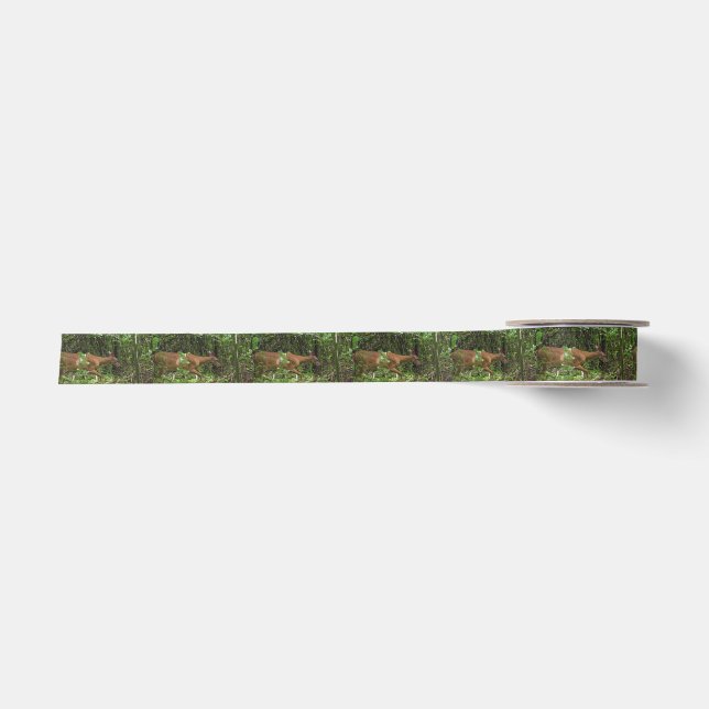 Ein Stroll durch das Holz Satinband (Vorderseite)