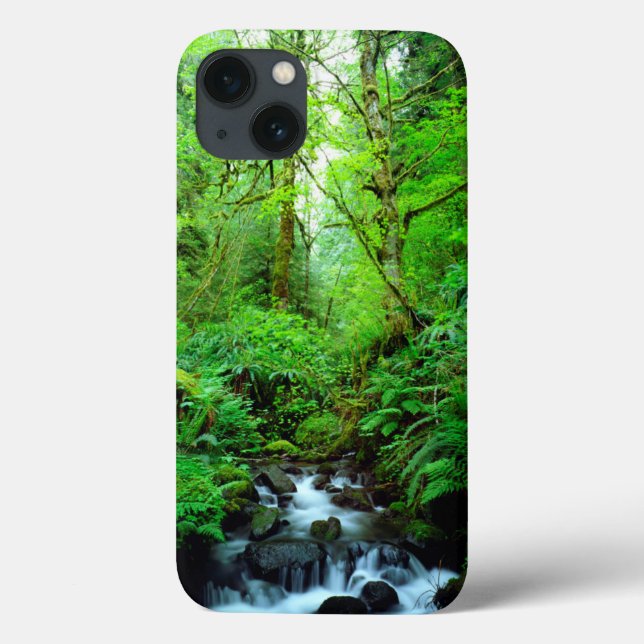 Ein Strom in einem alten Wald Case-Mate iPhone Hülle (Rückseite)