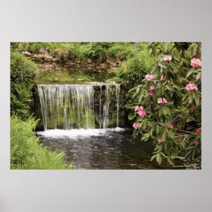 Ein Strom und ein Wasserfall in Dartmoor Poster