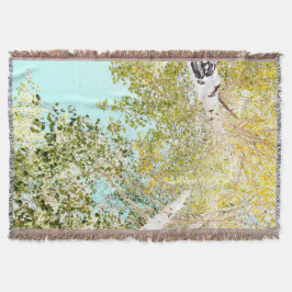 Ein Stück Himmel Decke