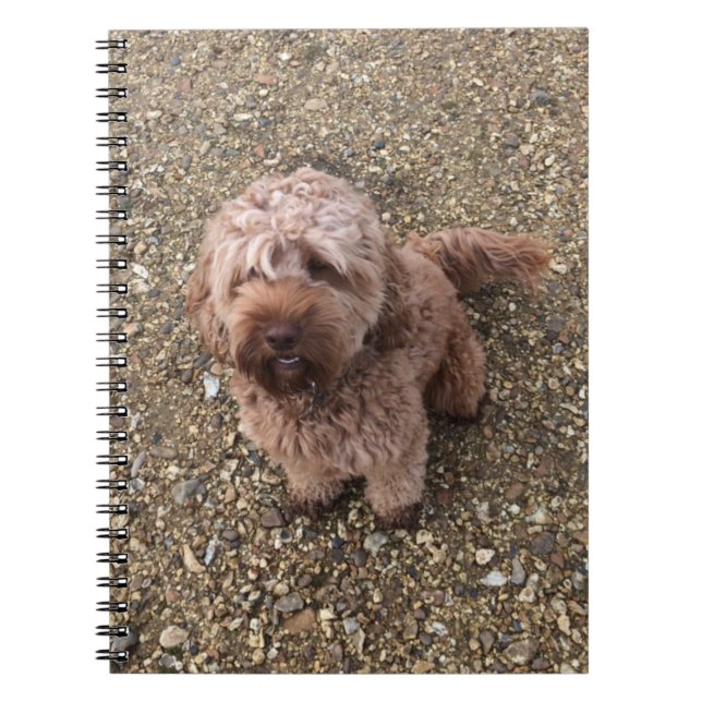 Ein Super Sweet Cavapoo-Notebook Notizblock (Vorderseite)