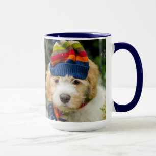 Ein süßer Cavachon Welpe in einem Winter-Hut und Tasse