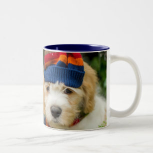 Ein süßer Cavachon Welpe in einem Winter-Hut und Zweifarbige Tasse
