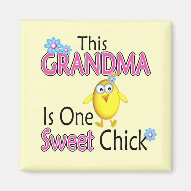 Ein süßer Küken Magnet (Vorne)