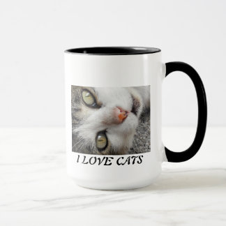 EIN SÜSSER UND SCHÖNER CAT TASSE