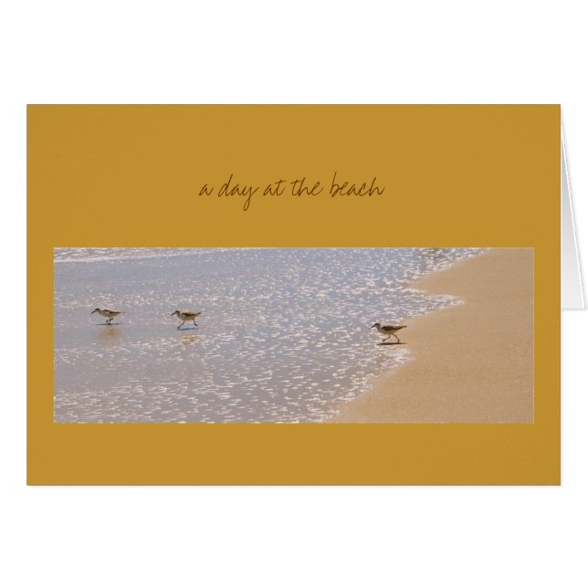 Ein Tag am Strand (Vorderseite (Horizontal))