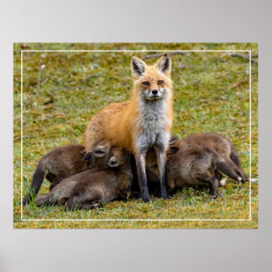 Ein Tag der Mama Poster