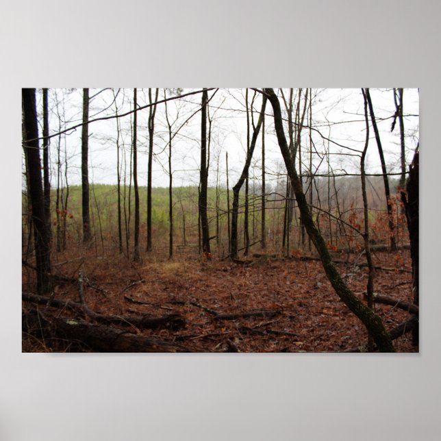 Ein Tag im Wald Poster (Vorne)