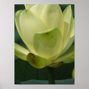 Ein Tag in der Teichreihe Poster