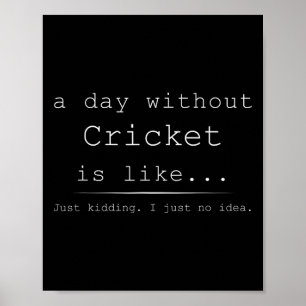 Ein Tag ohne Cricket ist wie nur Witze ich habe  Poster