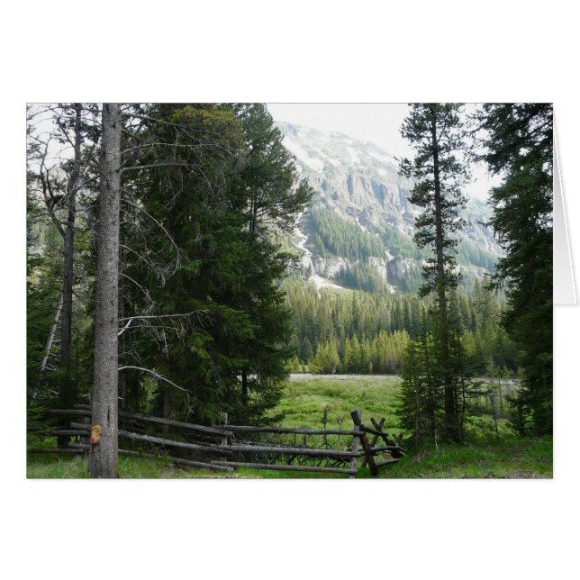 Ein Tal in Yellowstone Nationalpark (Vorderseite (Horizontal))