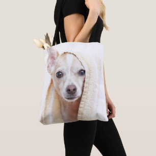 Ein TAN und weißen Chihuahua sitzen unter einem Tasche