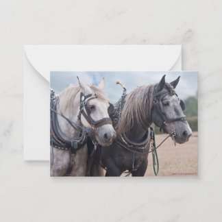 Ein Team von Percheron Mitteilungskarte
