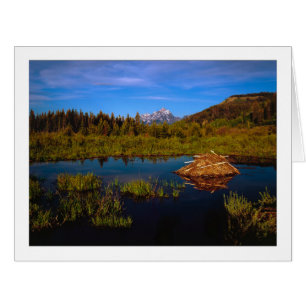 "Ein Teton-Sommer"