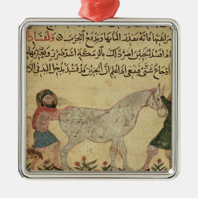 Ein Tierarzt, welche einer Stute hilft, zu Ornament Aus Metall (Vorne)