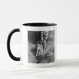 Ein Tiger mit ihren zwei Jungen an Whipsnade Zoo Tasse