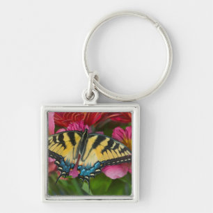 Ein Tiger Swallowtail Schmetterling Schlüsselanhänger